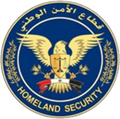 قطاع الأمن الوطني